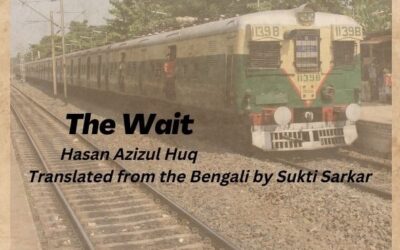 A Bengali creative non-fiction by Hasan Azizul Huq