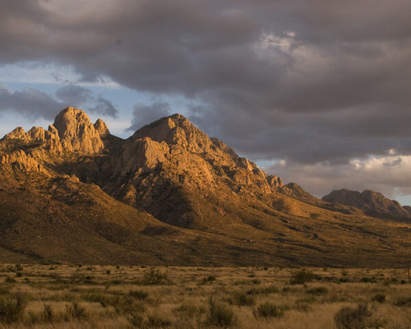 ode-to-the-organ-mountains-other-poems-patron-henekou-the-antonym