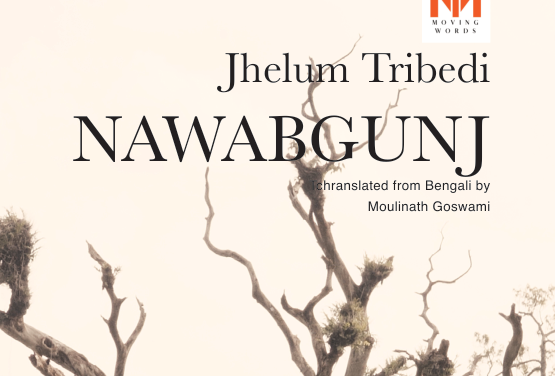 Six Poems from Jhelum Trivedi’s “Nawabgunj”— A Compilation